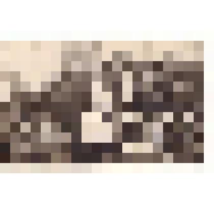 Фотопозитив. Команда парохода «Красный Октябрь»