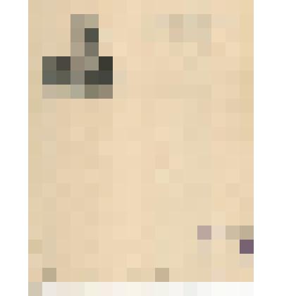 Лист почтовой бумаги с портретом Л.Н. Толстого