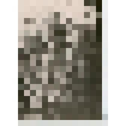 Фотография. Александр Андреевич Морозов. Участник установления советской власти в г. Алатыре и уезде Симбирской губернии