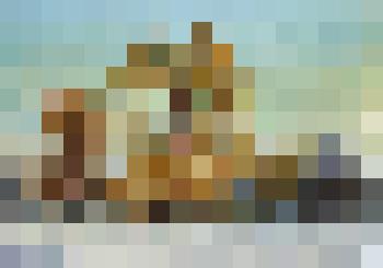 Листвиницы зимой