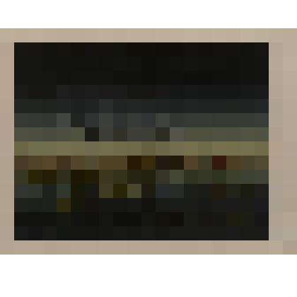 Гравюра. Яблоня