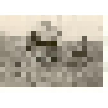 Фотография: тракторист Юрий Андреевич Екшас с прицепщиком Михаилом Васильевичем Безъязыковым тщательно обрабатывают междурядья свекольных посевов совхоза "Путь Ильича" Каменского района Алтайского края