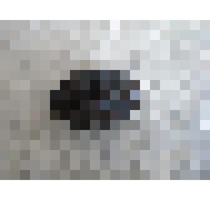 Граната "Лимонка"