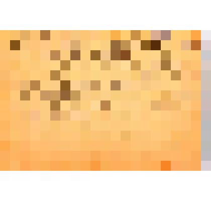 Фотопортрет групповой. Густав Ровио и Юрье Сирола со слушателями курсов Леинградского отделения Коммунистического университета им.Мархлевского