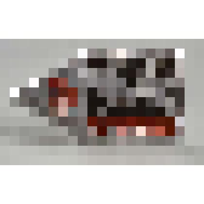 Значок "Псков"