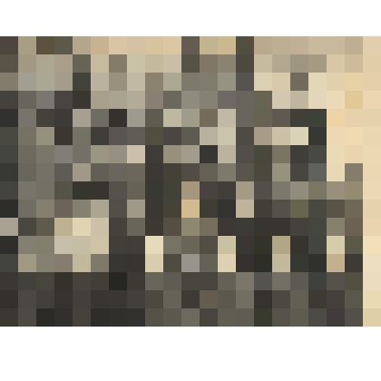 Фото. Воспитанники Темясовского детского дома. В центре преподаватель музыки  Н.Бикбердина