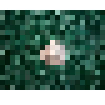 Монета достоинством "1 копейка" 1900 г