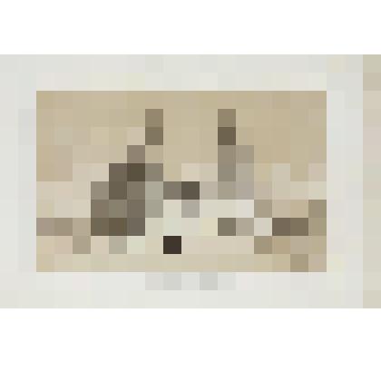 Литография. "Казань. Монастырь св. Иоанна Крестителя."