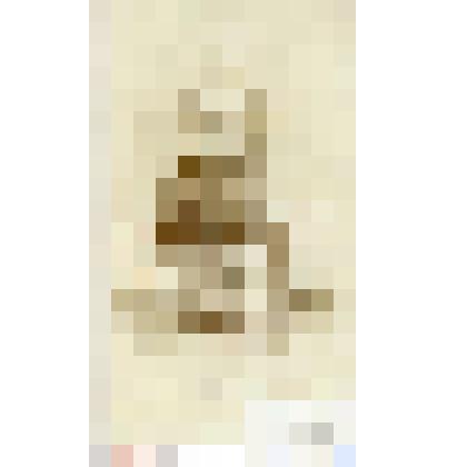 Фотография черно-белая. Кюстер Виктор Карлович