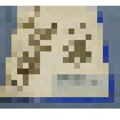 Ботаническая коллекция. Репейничек волосистый, семейство розоцветные, на гербарном листе, в саду опытной станции на канаве. Rosoceae Adrimonia pilosa Zebd