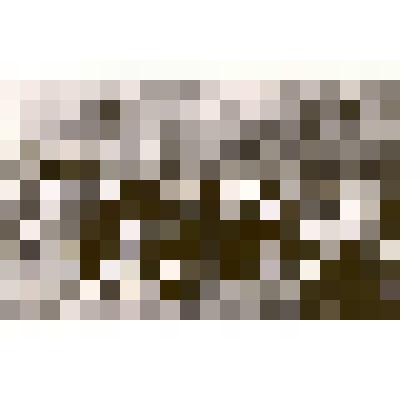 Фотография: на празднике по окончанию посевной в роще колхоза имени Чапаева Каменского района Алтайского края