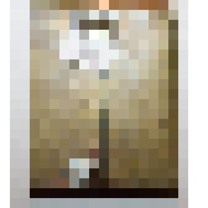 Орденская планка. Принадлежала: Гришину А. А