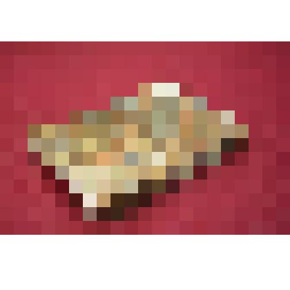 Книга. Русская Шехеразада. Повести, изданные S.S. Часть II