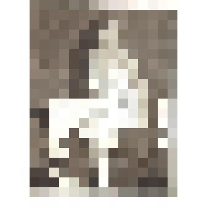 «Женщина».1914