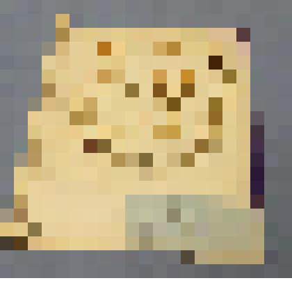 Ботаническая коллекция. Касатик желтый, на гербарном листе. Jridaceae Iris Flavissima Pall