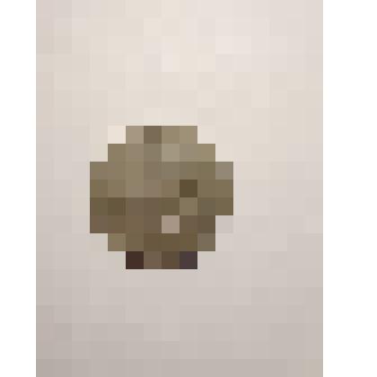 Монета 1 рубль 1979. Памятная Олимпийская монета СССР