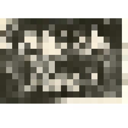 Фотография: первые члены сельхозартели "Путь жизни" Крутихинского района с 1930 г. Разин Григорий Сергеевич, Дружинина Мария Алексеевна, Добрынина Мария Дмитриевна (кто где - не указано)