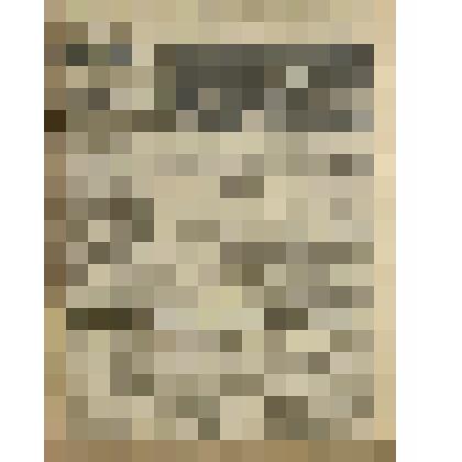 Газета. "Красный кавалерист" № 22