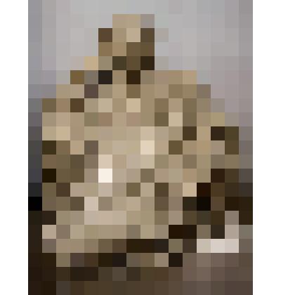 Портрет писателя Льва Николаевича Толстого (1828-1910)