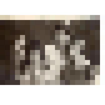 Фотопортрет. Семейный портрет четырех человек