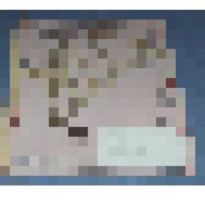 Ботаническая коллекция. Гвоздика зорька, семейство гвоздичные, на гербарном листе,остров реки Тубы. Caruophullaceae P. Dianthus  B. Zychis