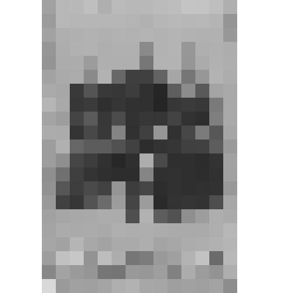 Фотография. Конюх Погудин с женой и сестрой