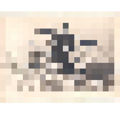 Фотоотпечаток. Аэросани уходят в дозор