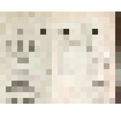 Бланк квитанции на уплату счета Н.П.Алина, г. Чердынь Пермской губ