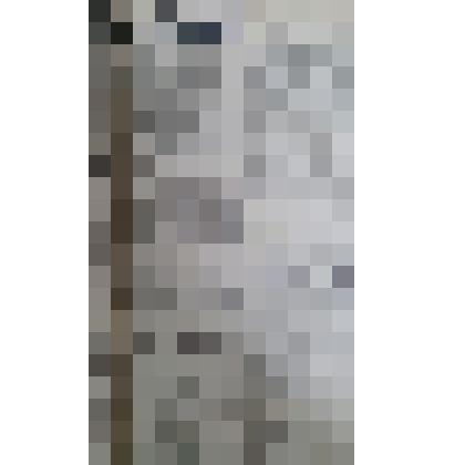 Газета "Адлерская правда"
№73 (3345) от 18.06.1961 г