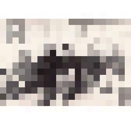 Фотография. Женщины – механизаторы с. Сростки  в гостях у школьников в Сростинской средней школе им. В.М. Шукшина