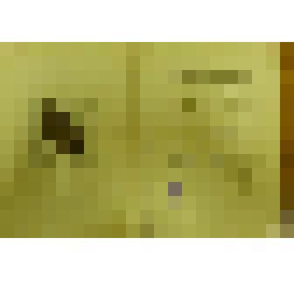 Документ. Грамота почетная Государственного комитета Совета Министров РСФСР по печати Сидневу Анатолию Михайловичу (1920), директору Кинешемской типографии им. В.И. Ленина (с 1955 г.) за активное участие в развитии книгоиздательского дела. Из коллекции ма