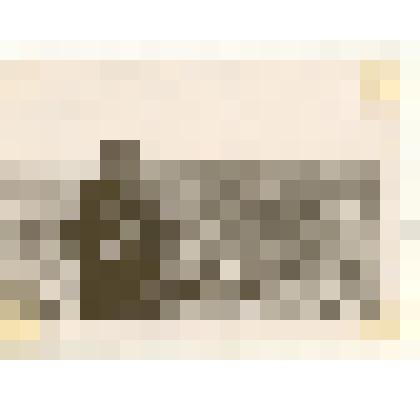 Фотография: посевы сахарной свеклы в Чапаевском отделении совхоза "Октябрь" Каменского района Алтайского края. На поле директор совхоза Левенко П.С