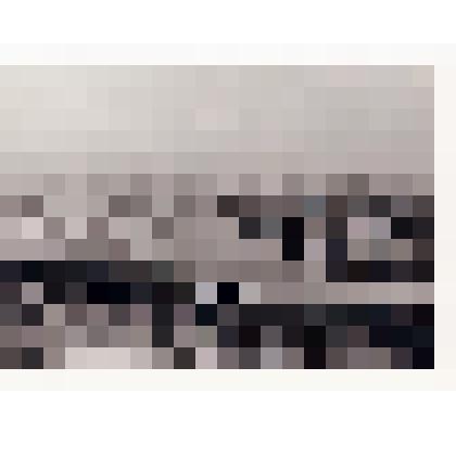 Фотокопия черно-белая из альбома "Ливадия 1909 г." Вид одной из севастопольских бухт