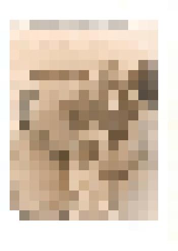 Фотография ч/б. Космонавта В. Г. Лазарева встречают хлебом-солью. Тюменцевский район. 1975 г