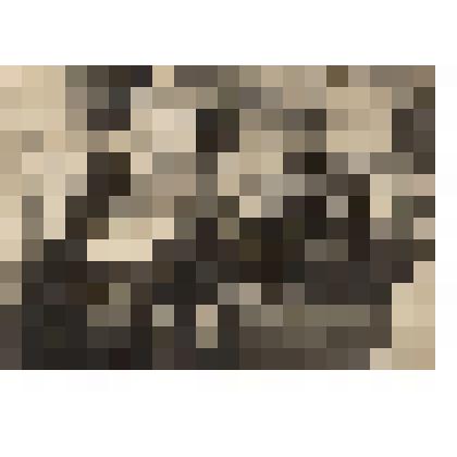 Фото ленточного цеха Троицкой бумажной фабрики