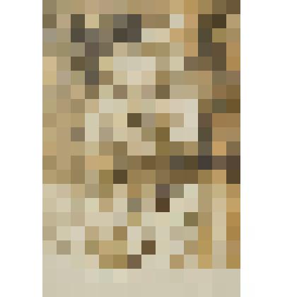 Ш. де Костер "Легенда об Уленшпигеле". Пепел Клааса стучит в моем сердце. 2-ой фронтиспис