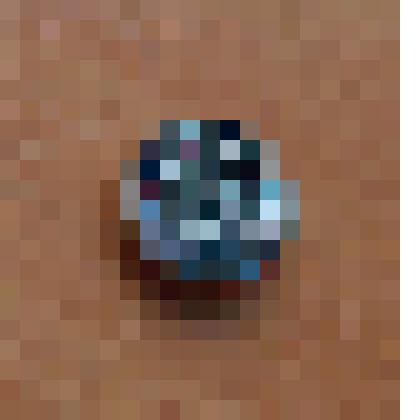 Значок «ДЕНДРАРИЙ»