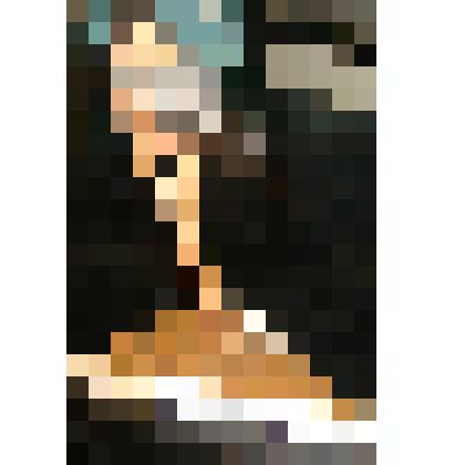 Снегирь обыкновенный. Вьюрковые