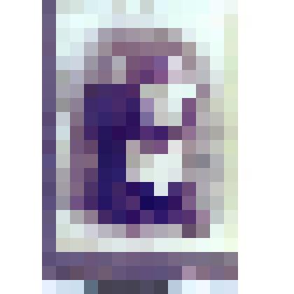 Фотография черно-белая. Портрет гимназистов мальчика и девочки