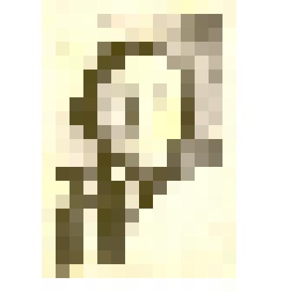 Фотография: Трушина М.Н., член РКСМ с 1920 года. Копия