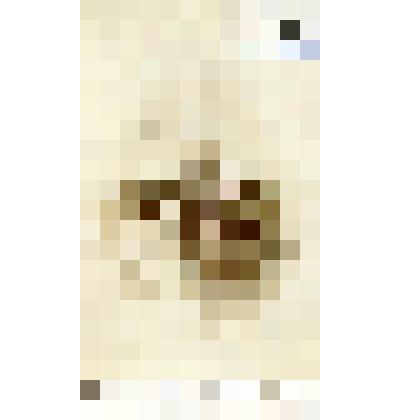 Фотография черно-белая. Шульгин Михаил Михайлович