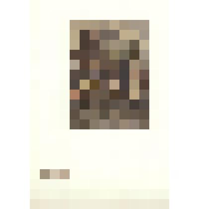 «У памятника Пушкину». Альбом «Уходящая Москва. Автогравюры И.Н.Павлова». 1915