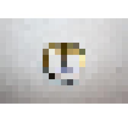 Значок "Отличник социалистического сельского хозяйства". Принадлежал: Гагариной П. Я