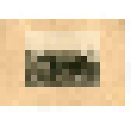 Фотография. П.С. Жуков в коляске, запряженной тройкой лошадей