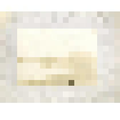 Фотография. Река Олекма. Один из островов среднего течения 1916г