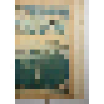 Книга. Соломорезки и корнерезки.  Типография П.П.Сойкина