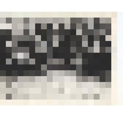 Фотография. Гребенщиковой Анна Васильевна в группе ветеранов Великой Отечественной войны Вологодской области у вечного огня