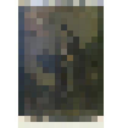 Икона. Преподобный Аполлон Пустынник