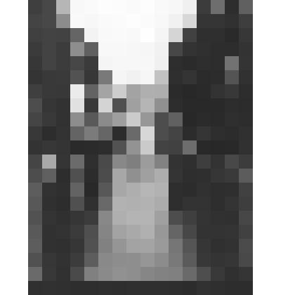 Петергоф. Нижний парк. Вид на Большой дворец с первого мостика через Морской канал. Перепечатка с негатива кон.XIX-нач.ХХ вв