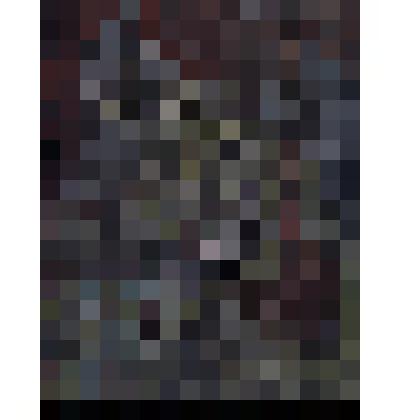 Сын человеческий